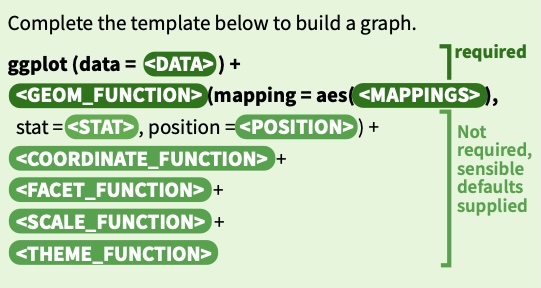 ggplot function overview (<https://github.com/rstudio/cheatsheets/blob/main/data-visualization.pdf> )